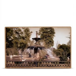 Arcadia Publishing Postcard History Kindle Book Antique Collectibles-0