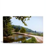 Arcadia Publishing Antique Postcards Illustrated Edition-0